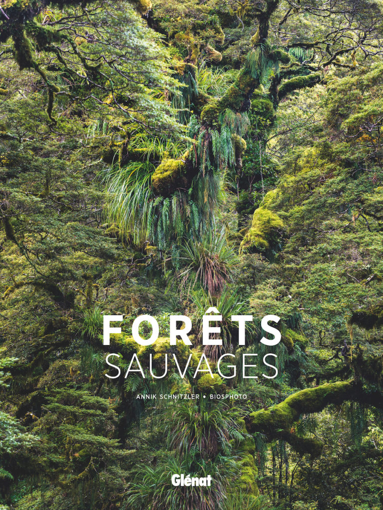 Forêts Sauvages