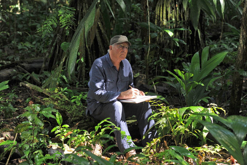 Francis HallÉ