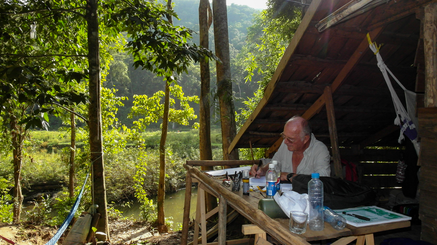 Francis Hallé écrivant sur un bureau installé dans la forêt tropicale