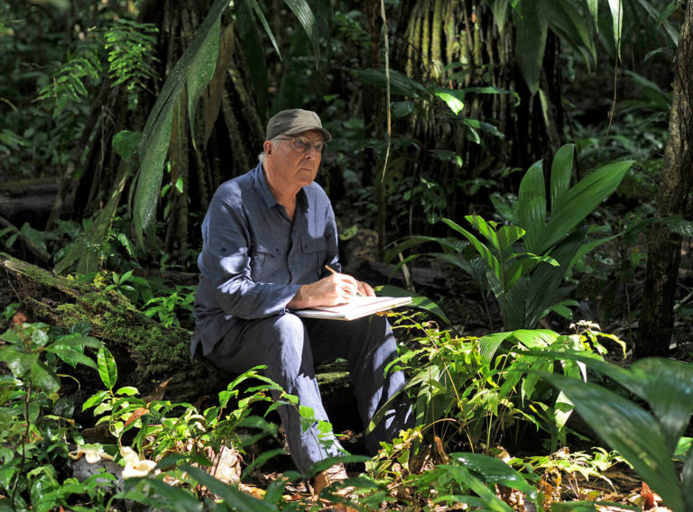 Francis Hallé, assis au cœur d'une forêt tropicale, dessine ce qu'il voit