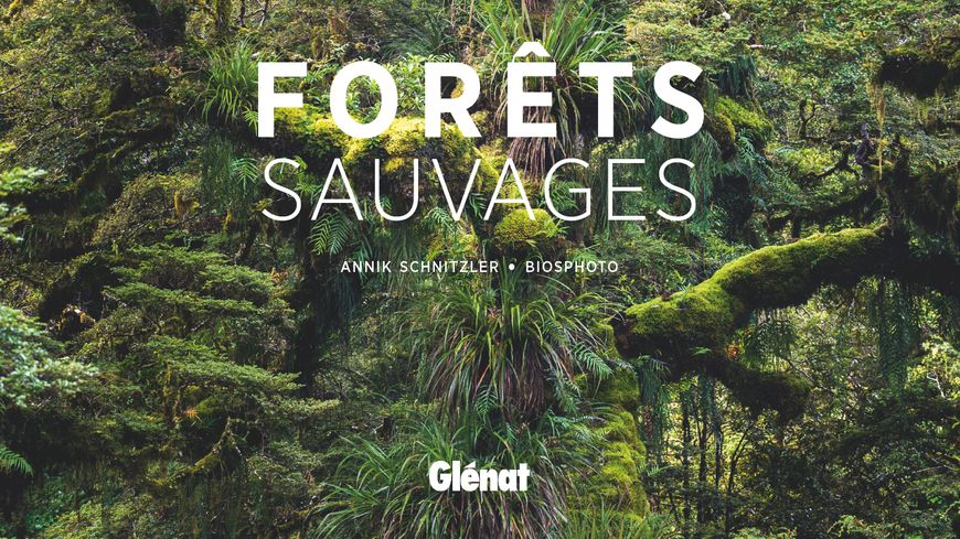 870x489 forets sauvages couv