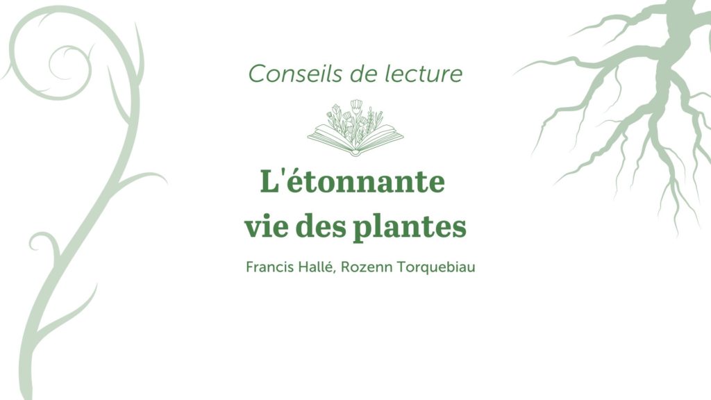 bandeau conseils de lecture l'étonnante vie des plantes
