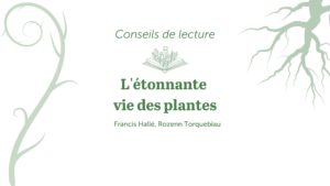 bandeau conseils de lecture l'étonnante vie des plantes