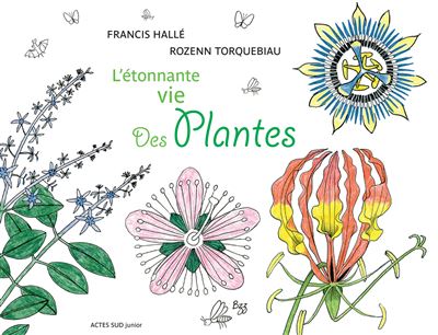 l etonnante vie des plantes