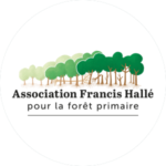 clogo rond association Francis Hallé pour la forêt primaire