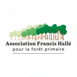 clogo rond association Francis Hallé pour la forêt primaire