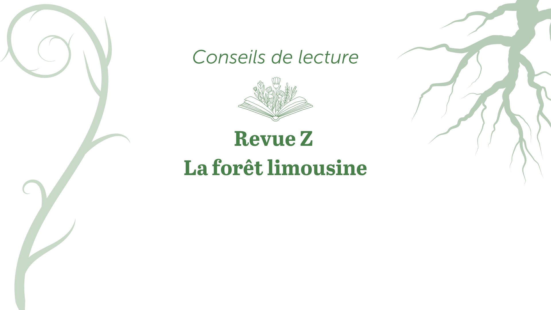 bandeau conseils de lecture revue z