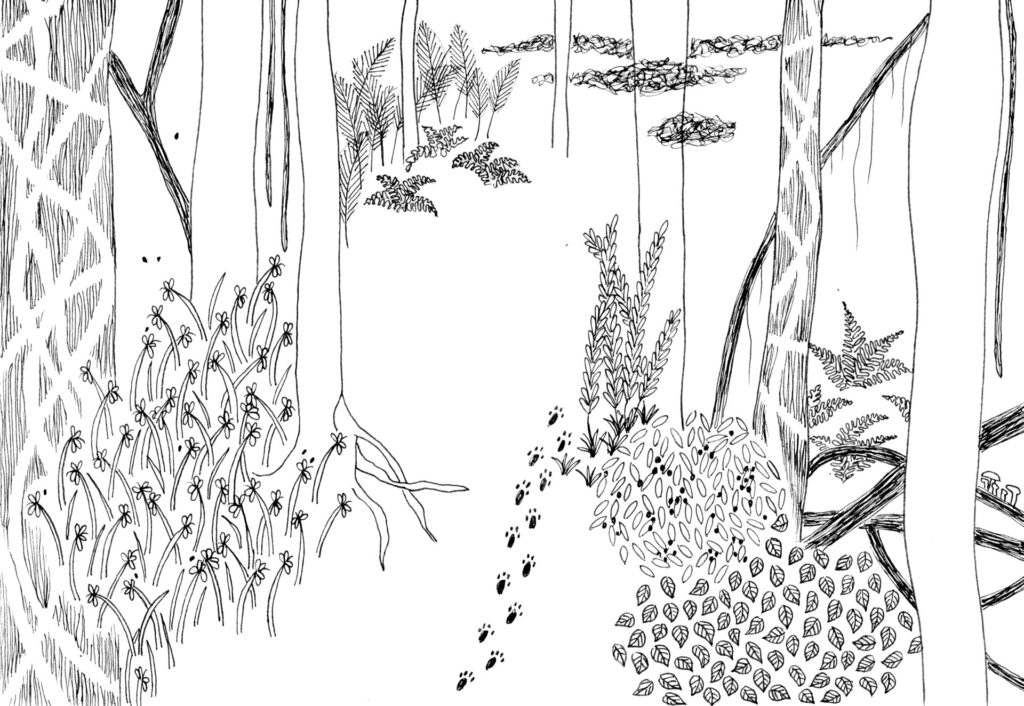 Un dessin en noir et blanc représentant des traces d'animaux s'enfonçant dans une végétation luxuriante