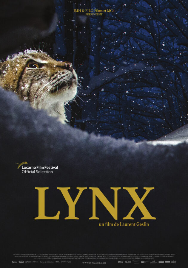 lynx affiche a3 04