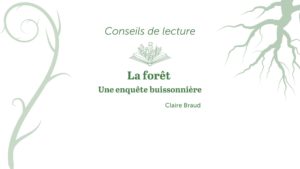 bandeau conseils de lecture la forêt une enquête buissonnière