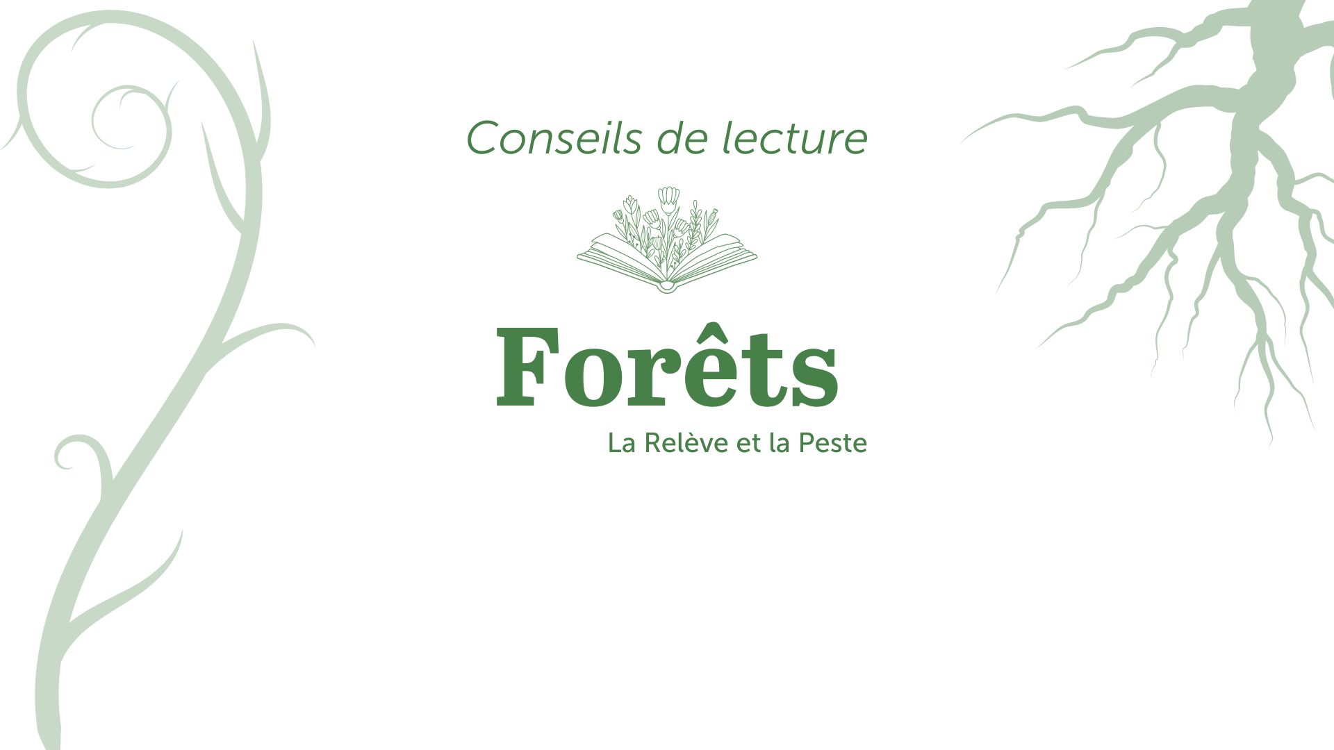 bandeau conseils de lecture responsive