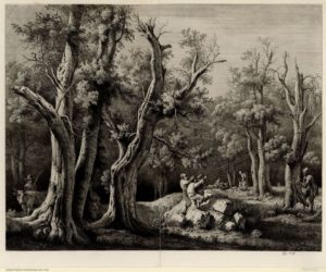 Gravure de forêt