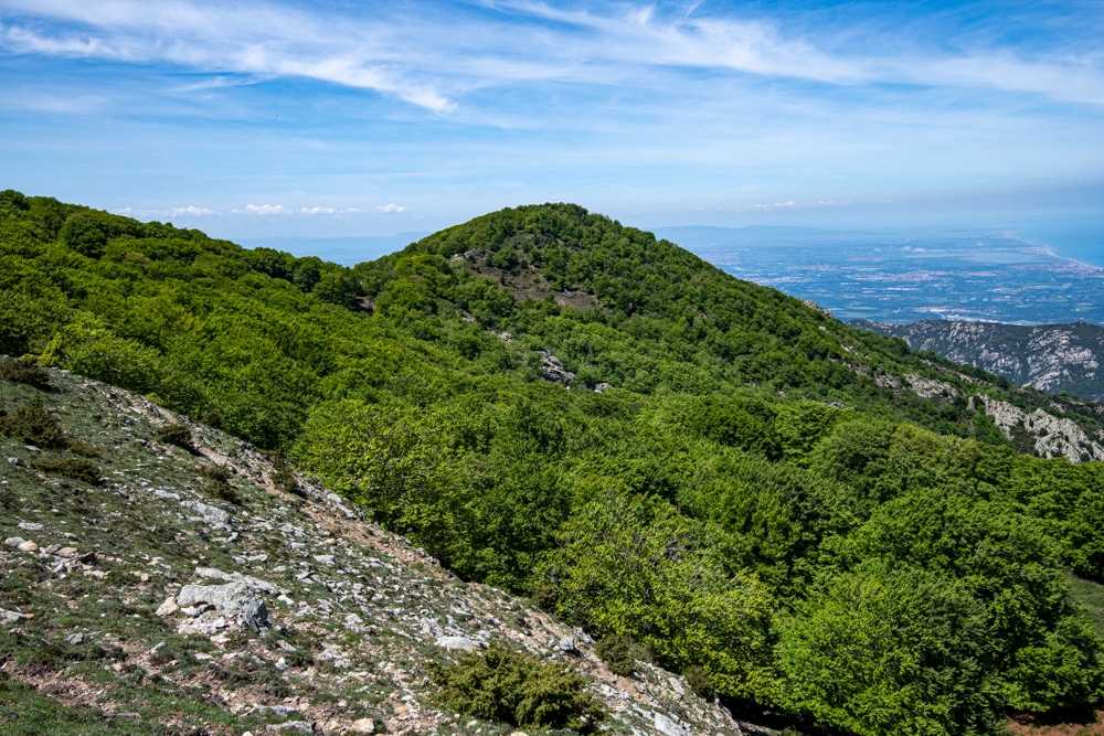 Une forêt recouvre un sommet en arrière plan, au premier plan la roche n'est pas couverte de végétation